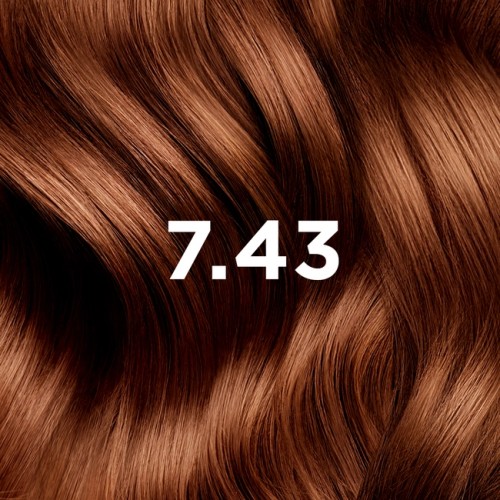 PHYTO COLOR 7.43 BLOND CUIVRE DORE