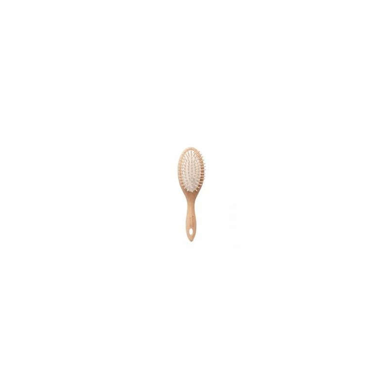TITANIA BROSSE EN BOIS 22.5CM / 2872